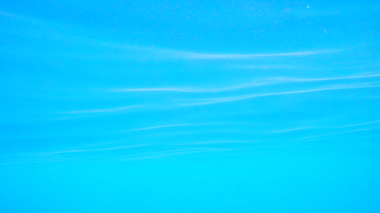 el mundo está tranquilo aquí.