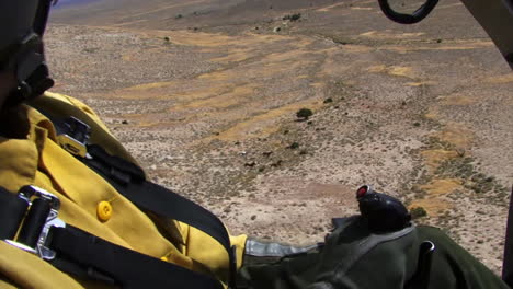 la oficina de administración de tierras reúne caballos salvajes usando helicópteros 2