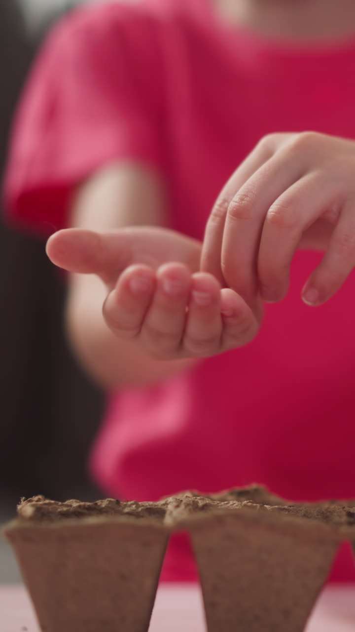 Little child inserts seeds in dirt in seedling tray cells at home closeup slow motion. Preparation for spring gardening. Children education