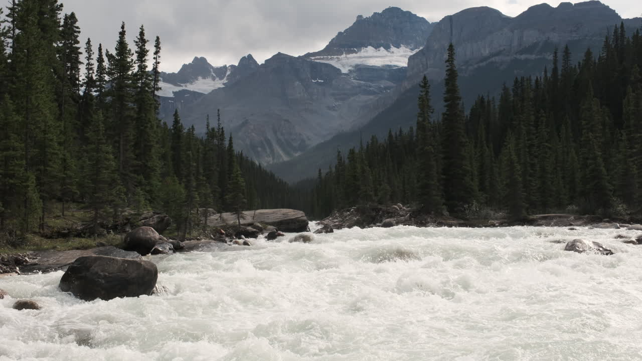 Glacial river surges through an evergreen forest, snow-capped mountains rising dramatically in the background
