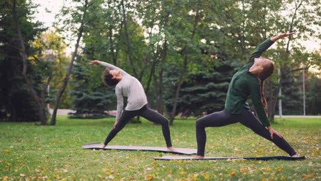 dos mujeres practicando yoga al aire libre en un parque
