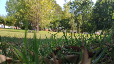 öffentliches-Gartenfeld-Mit-Unscharfen-Bäumen-Im-Hintergrund,-Der-Wind-Bewegt-Seine-Blinkenden-Blätter-An-Einem-Sonnigen-Sommernachmittag,-Panorama-Blockaufnahme