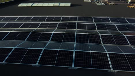 Multiple-solar-panels-on-a-roof-p1