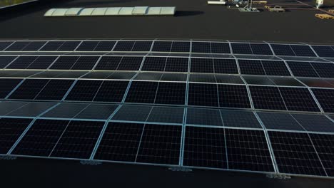 múltiples paneles solares en un techo p1