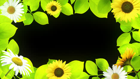 Sonnenblumen-Blumenrahmenhintergrund,-Transparenter-Hintergrund-Mit-Einem-Alphakanal.