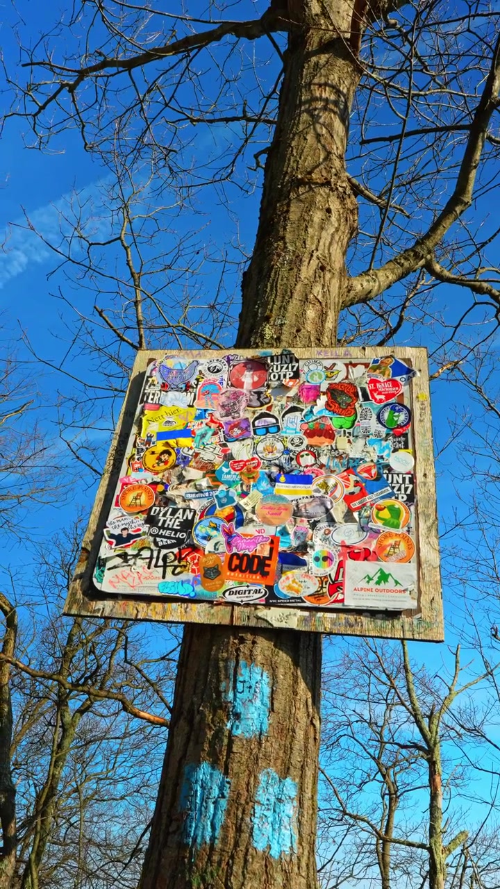 New Jersey, USA, 1 May 2026: Wooden sign covered with colorful stickers on tree trunk along trail. Close up of a hiking trail signpost featuring various outdoor and travel stickers.