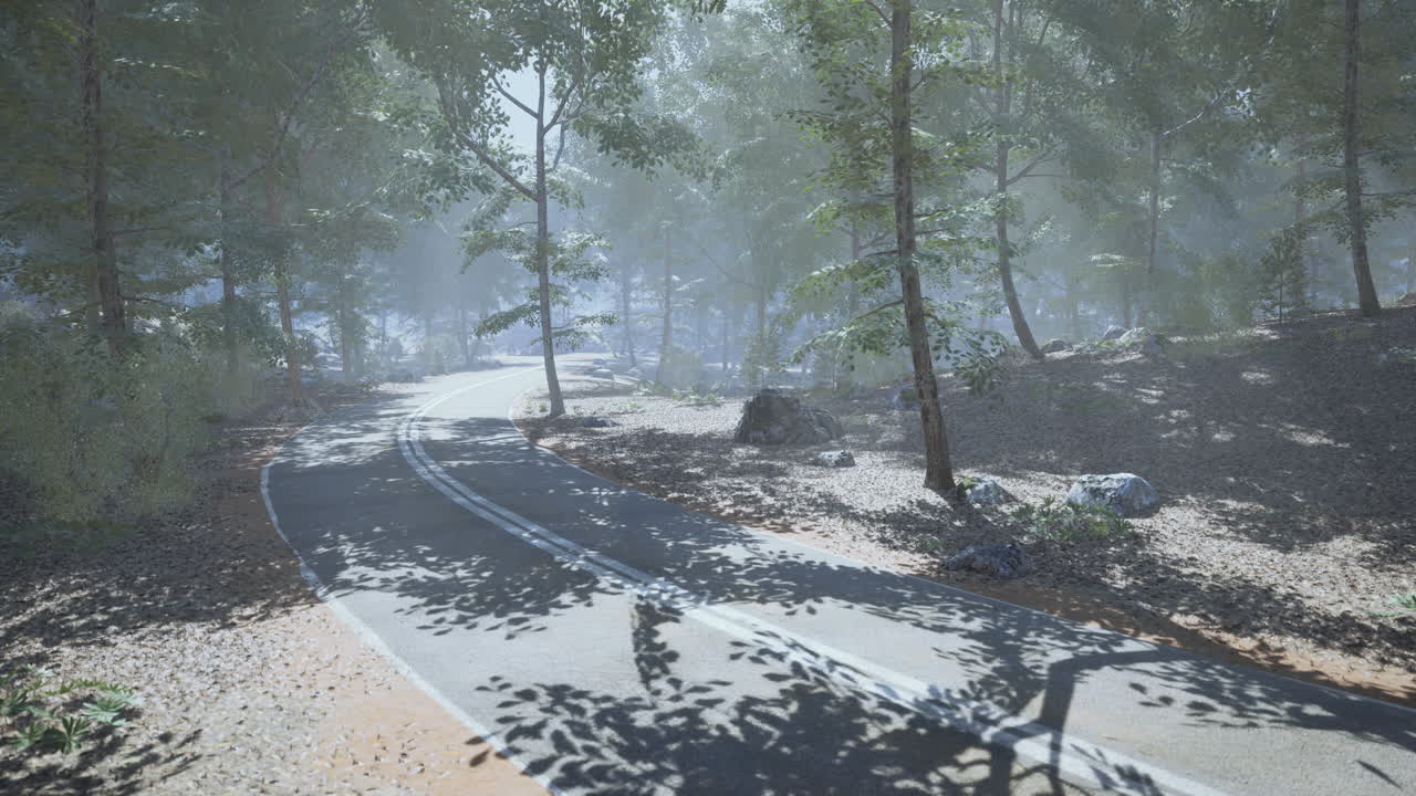 이른 아침 빛에 나무로 둘러싸인 휘어지는 숲길