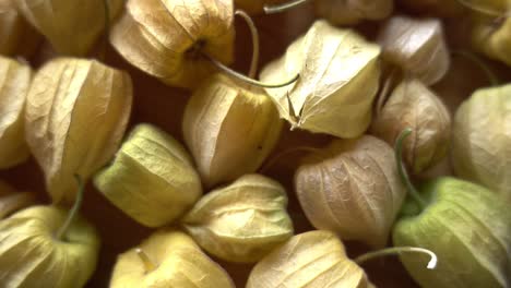 Sweet-physalis-berry-on-Table