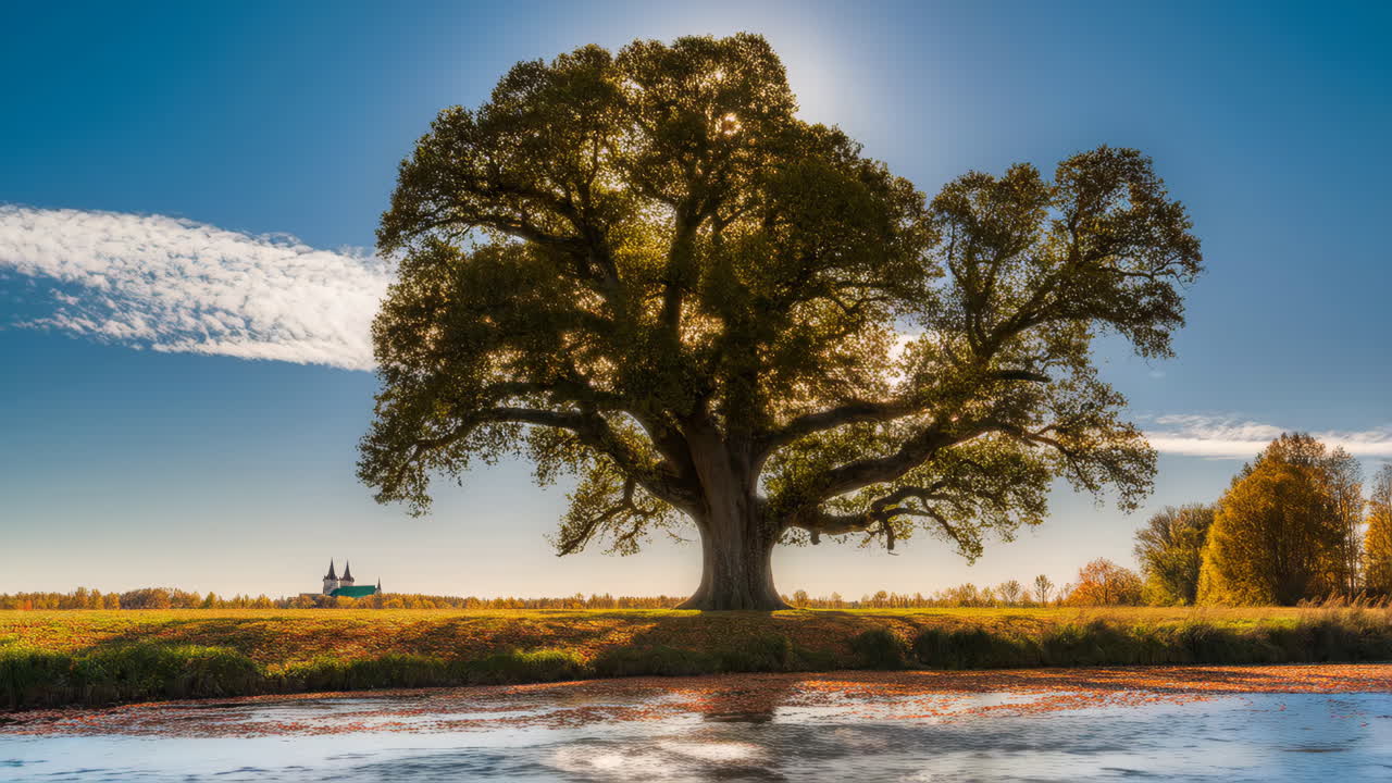 Majestic Tree by Reflecting Water in Autumn Landscape