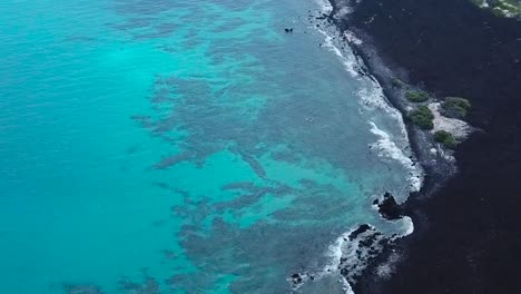 drone z lotu ptaka pan w dół plaża hawaje black sand