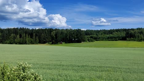 drive by of beatiful landscape in finland