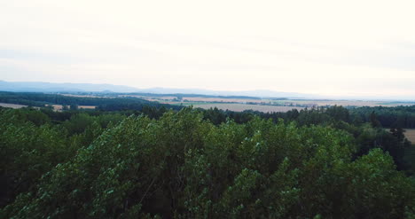 Flying-Over-The-Beautiful-Forest-Trees-Landscape-Panorama-81