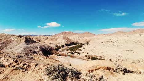 un cañón con un río entre montañas y palmeras