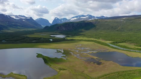 tomada de avión no tripulado de la naturaleza sueca en verano en escandinavia con cielo nublado