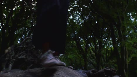 lower body view of female legs walking on fallen tree