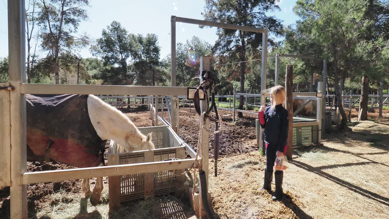 Girl feeding a horse at a farm