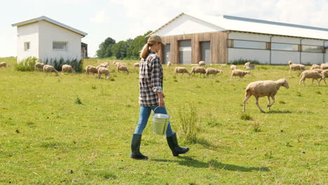 Caucasian-young-woman-farmer-in-hat-walking-in-green-field-and-carrying-bucket-with-food-or-water-for-sheep-flock