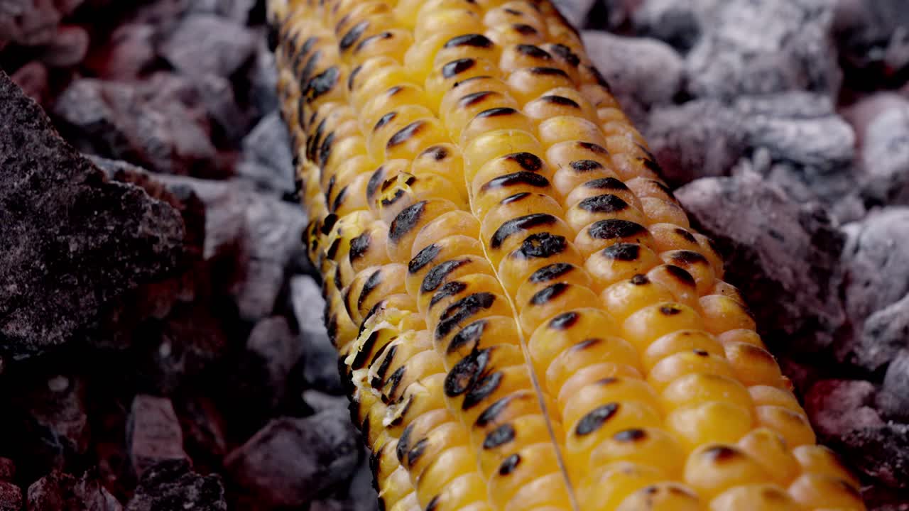 Sweet corn Grill , sweet corn cooking on charcoal, ripe corn cobs grilled sweetcorn for food vegan dinner or snack, street food in India
