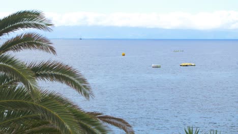 Sunny-summer-day-on-the-beach-with-palm-tree-of-Playa-De-Las-Americas-,-calm-Atlantic-ocean,-and-La-Gomera-island-in-background,-wide-shot