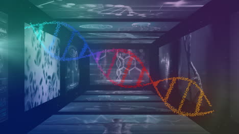 cadenas de adn y procesamiento de datos científicos sobre animaciones médicas holográficas