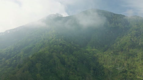 Volando-Sobre-El-Bosque-De-Montaña-Al-Amanecer-En-Una-Mañana-Brumosa