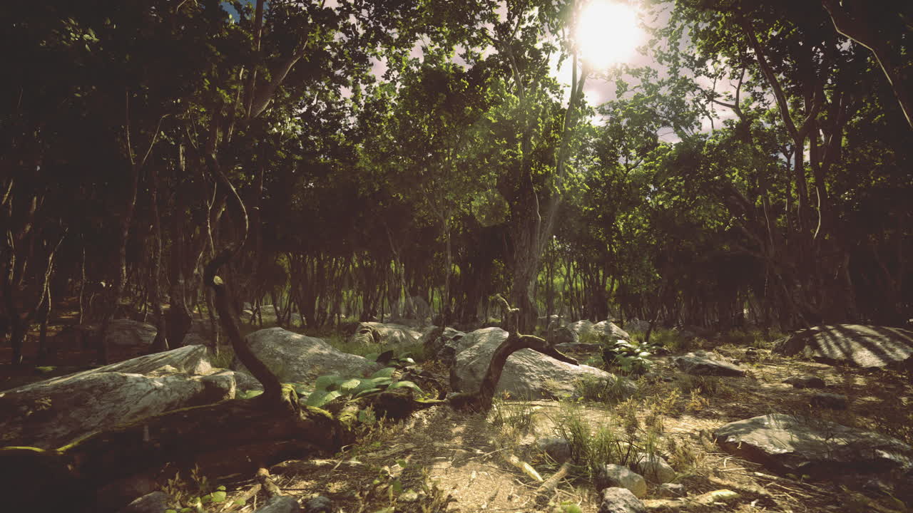 Lush forest habitat alive with natures melody and serenity on a sunny day