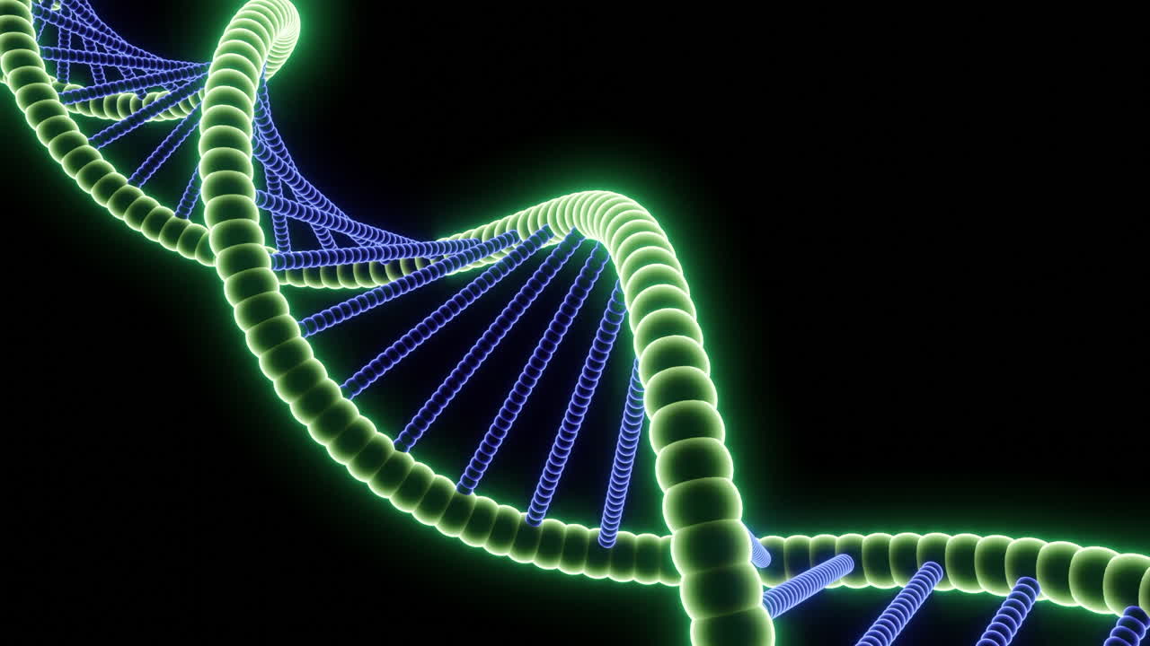 DNA 더블 헬릭스