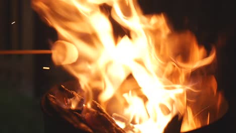 close-up roasting tasty marshmallows on a roaring fire