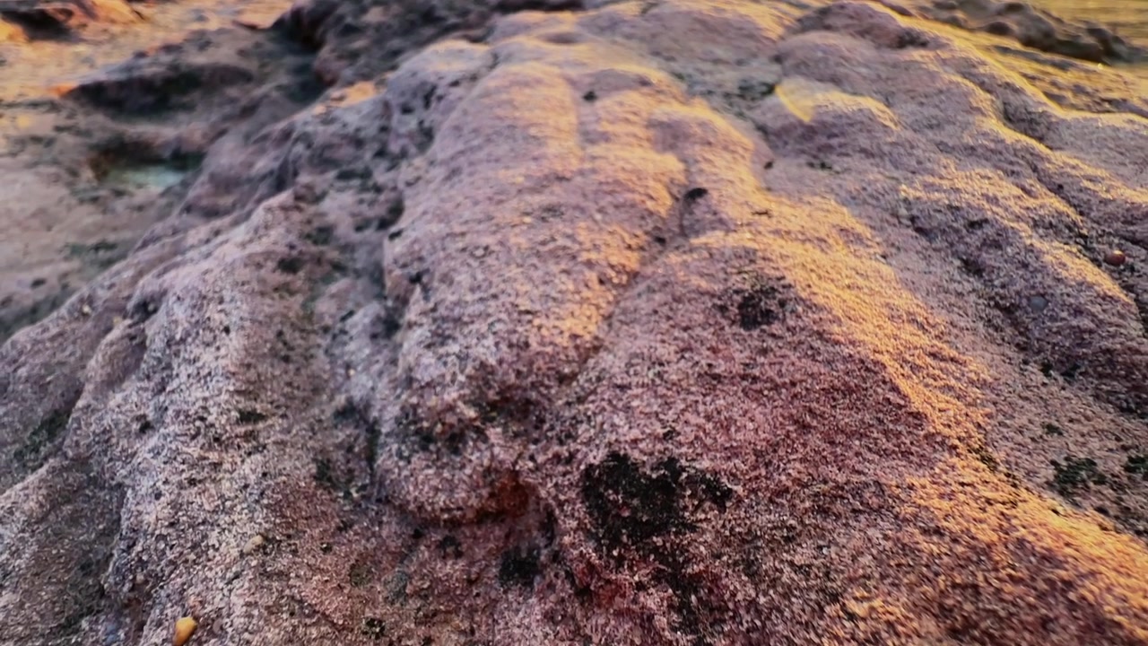 Carrellata lungo una cresta di arenaria erosa che rivela texture rocciose consumate e la calda luce dell'ora d'oro attraverso un antico paesaggio geologico