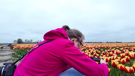 Young-woman-capturing-images,-smartphone-camera,-colourful-tulip-fields