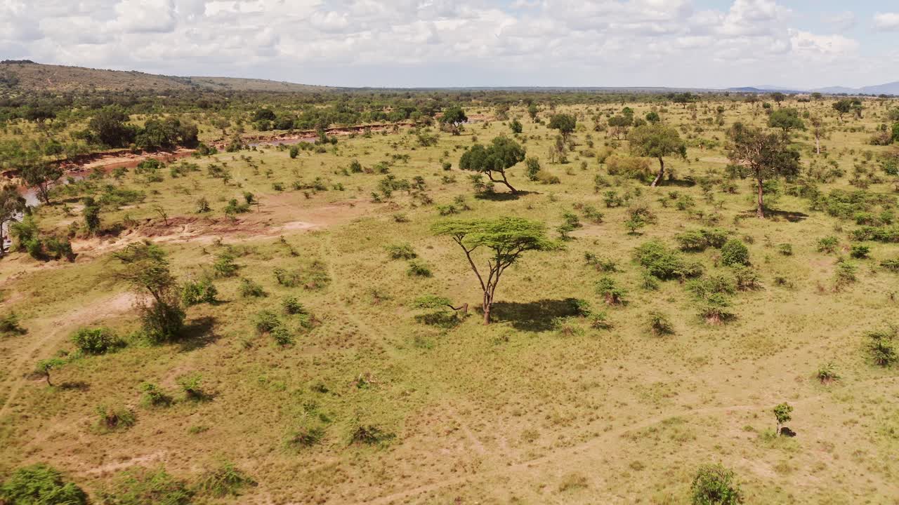 Ripresa aerea con drone del paesaggio del fiume Masai Mara che serpeggia in uno scenario meraviglioso nella Riserva Nazionale del Maasai Mara in Kenya, Africa, ampia inquadratura d'apertura con vegetazione e alberi di un verde lussureggiante