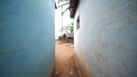 Trible-village-in-Karnataka-mysure-wide-passage-walk