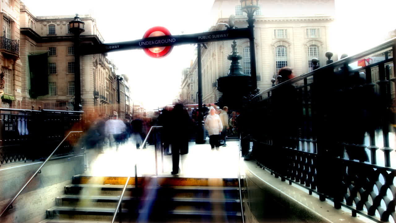 피카딜리 러쉬 11