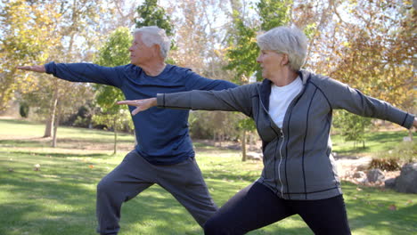 Senior-Couple-Doing-Yoga-Exercises-Together-In-Park