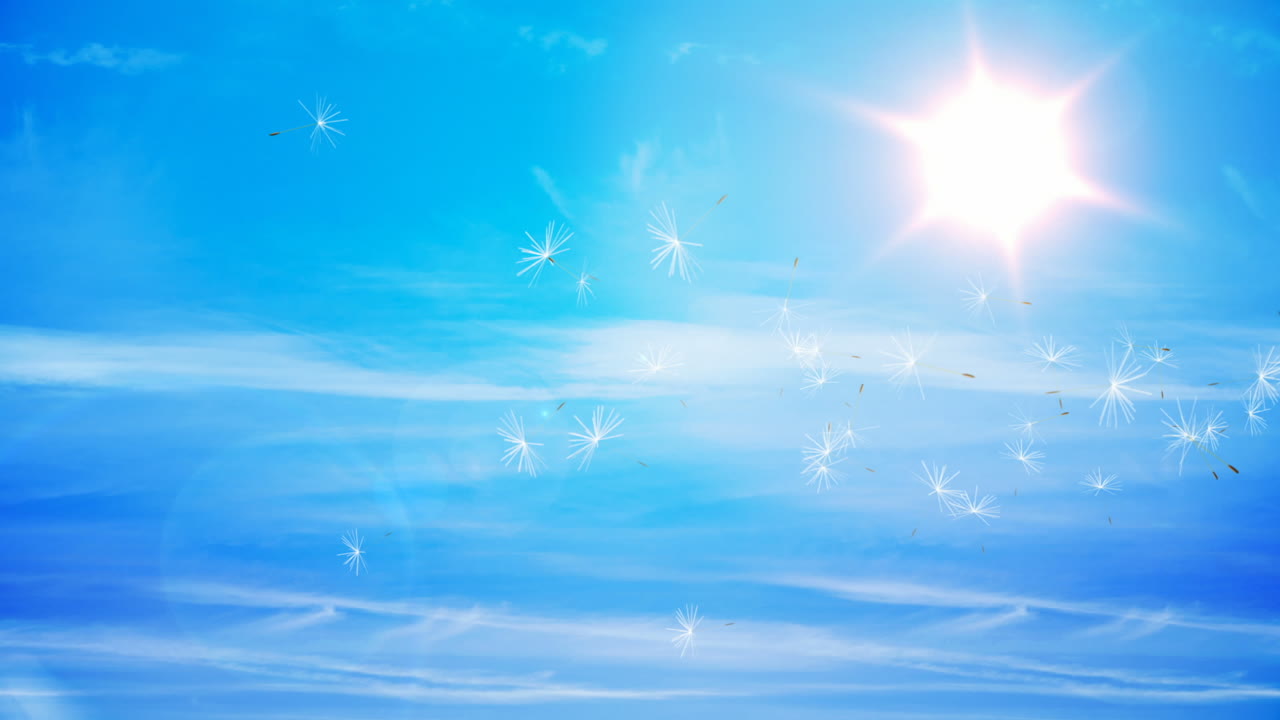 디지털로 생성 된 dandelion 씨