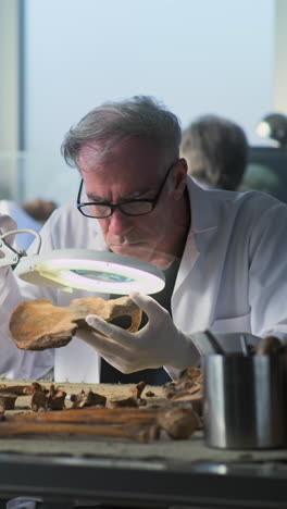 archaeologist examining ancient human remains