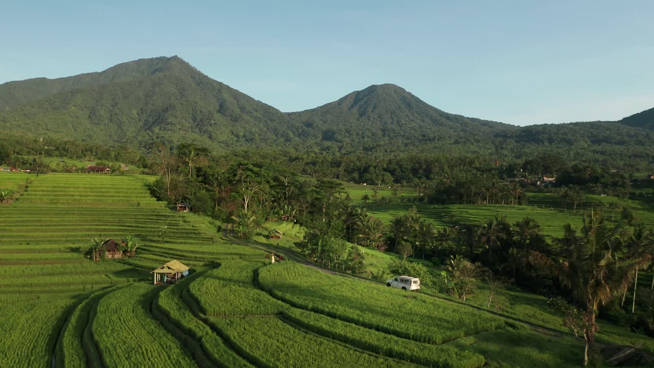 camión blanco 4x4 viaja en camino rural en medio de campos de arroz jatiluwih, antena