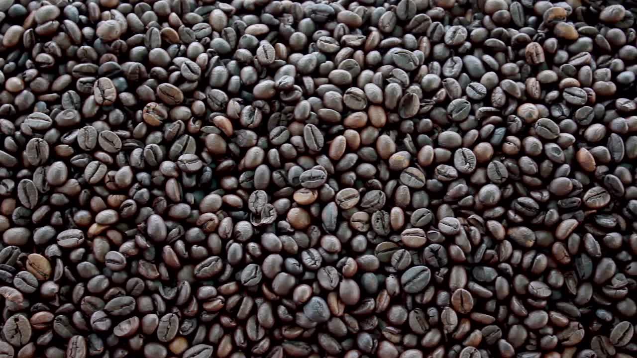 Chicchi di caffè tostati