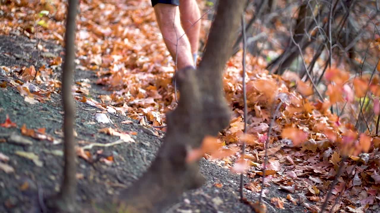 가을 동안 나뭇잎 사이로 오솔길에서 나무를 지나 달리는 주자, 느린 동작
