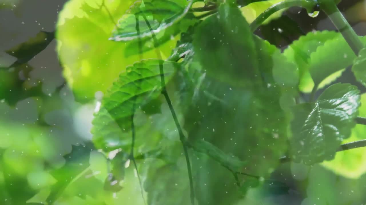 animación de nieve cayendo sobre hojas y agua.