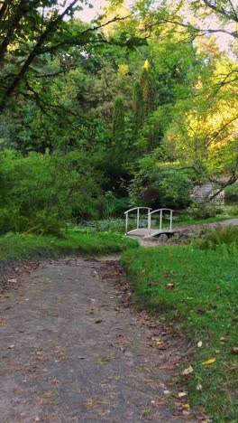 peaceful garden path leading to a small bridge over a pond