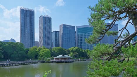 아름다운 일본 전통 정원과 초고층 건물이 있는 연못 도쿄