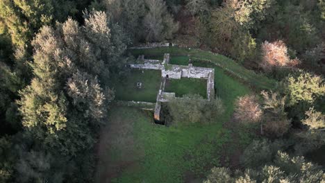 aerial view of ancient stone ruins in a forest