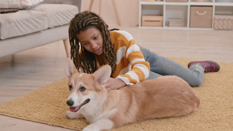 female kid and corgi dog