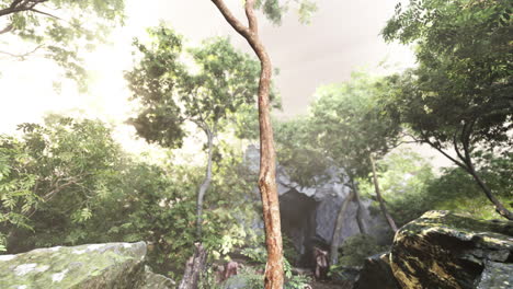 a sunny view of a forest with a cave in the background