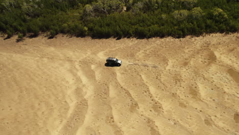 Toma-Aérea-De-Vehículos-Que-Conducen-En-La-Playa-De-Arena-Durante-El-Día-De-Verano-En-Queensland,-Australia---Tour-De-Viaje-De-Aventura-Durante-La-Luz-Del-Sol