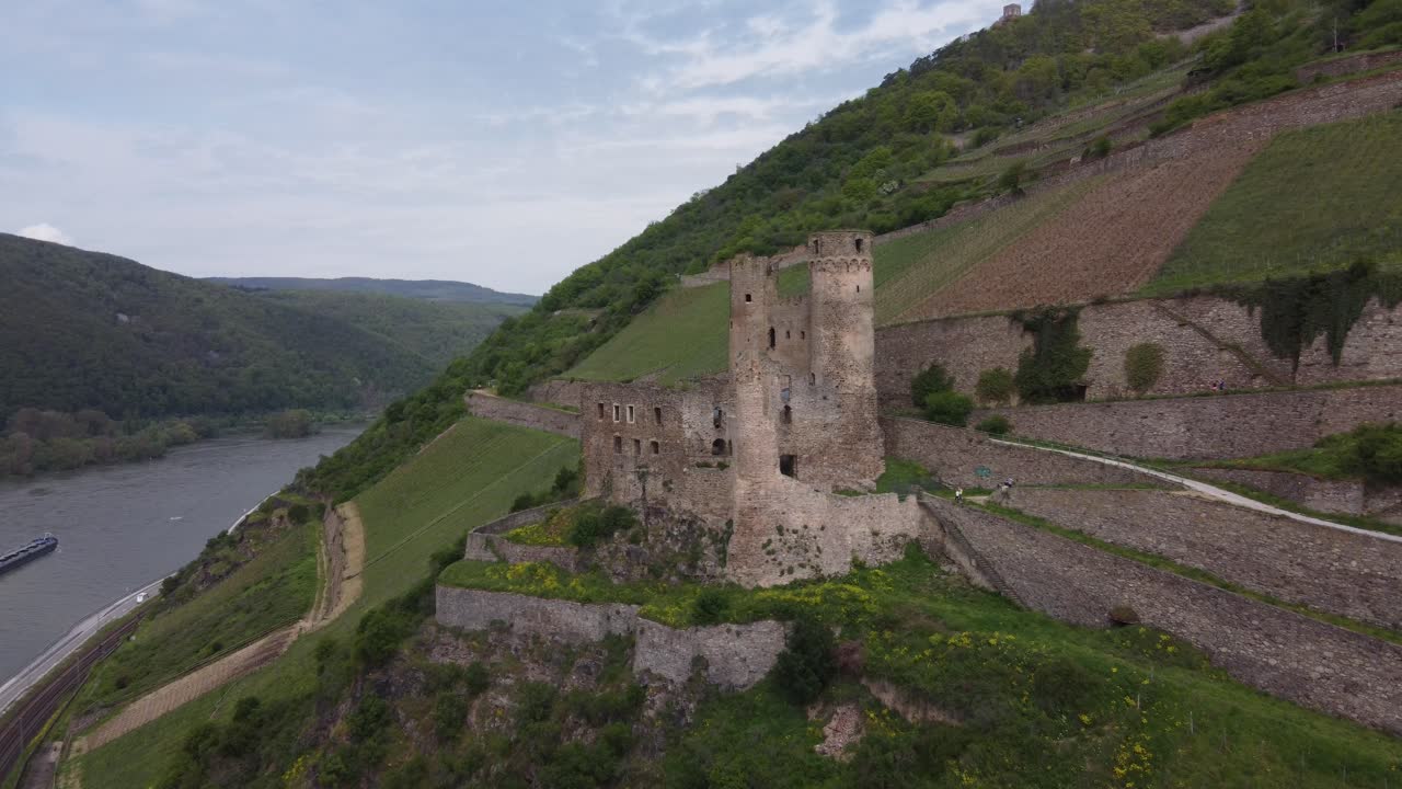 Rovine del Castello di Burg Ehrenfels tra i vigneti collinari della gola del fiume Reno