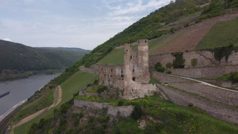 burg ehrenfels castle ruins amid hillside vineyards of rhine river gorge