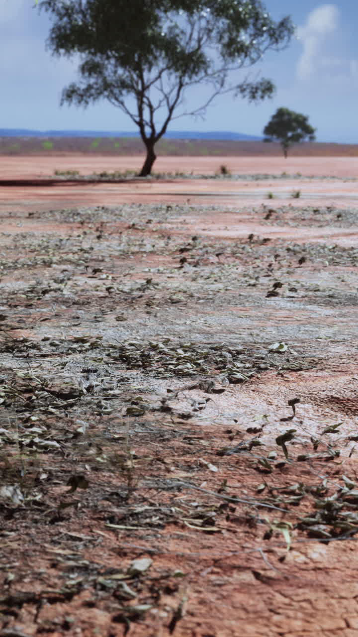 paisaje de tierra roja con árboles en el fondo