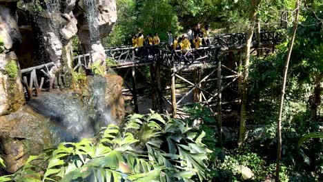 los estudiantes exploran un exuberante jardín botánico